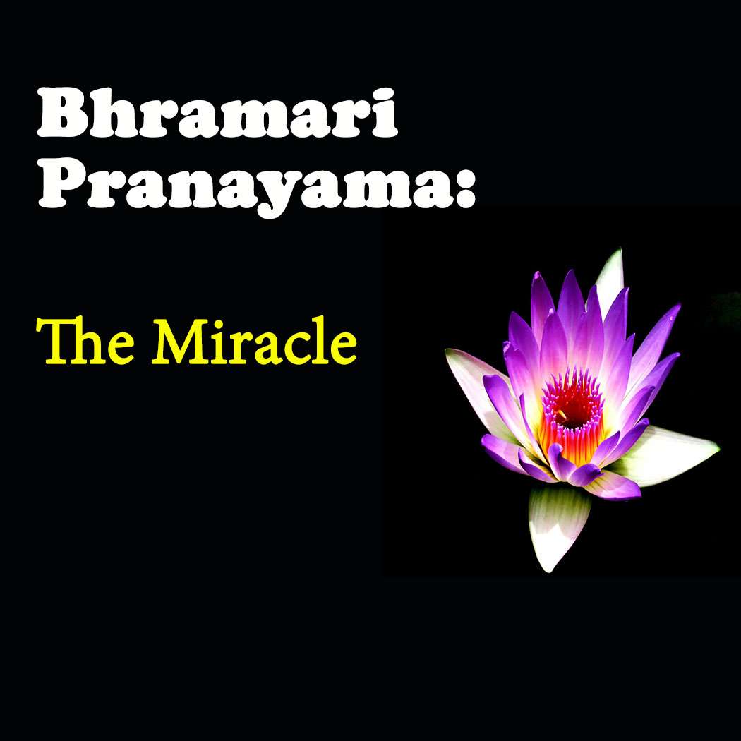 Bhramari Pranayama