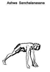 surya namaskar 12 steps