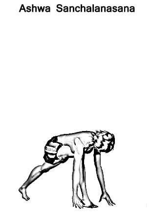 Surya Namaskar 12 Steps