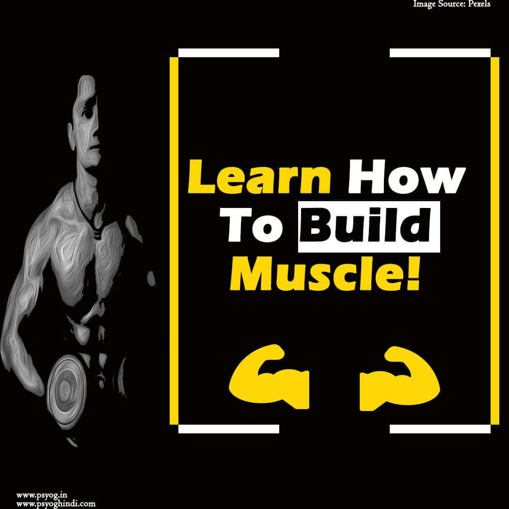 Wellhealth How To Build Muscle Tag