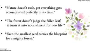 quotes related to nature