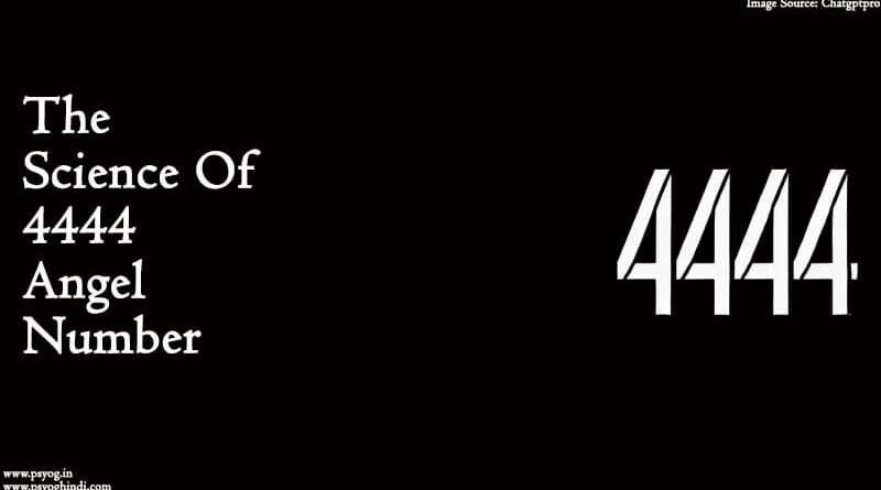 444 angel number
