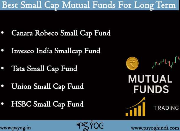 best small cap mutual funds for long term