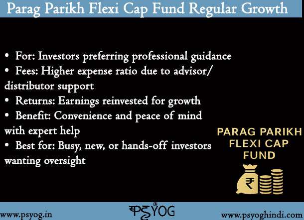 Parag Parikh Flexi Cap Fund Regular Growth