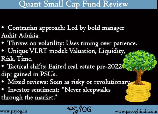 Quant Small Cap Fund Review