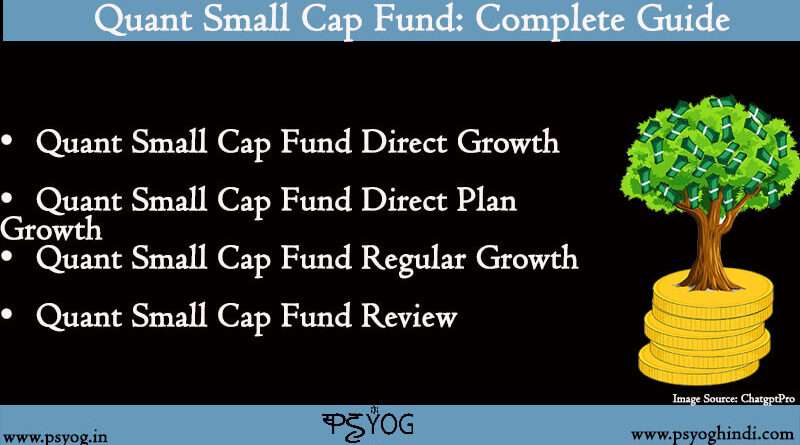 quant small cap fund