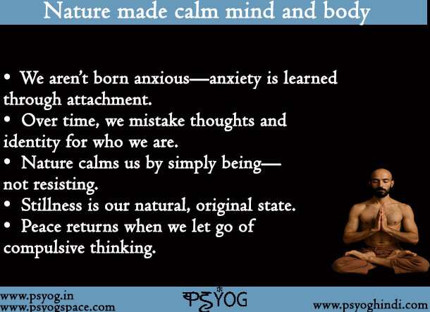 Nature Made Calm Mind And Body