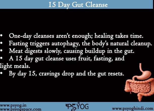 15 Day Gut Cleanse