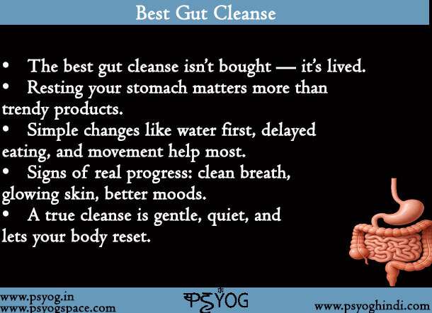 Best Gut Cleanse
